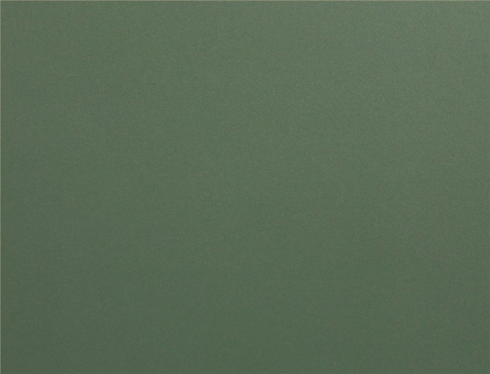 砂面竹叶青